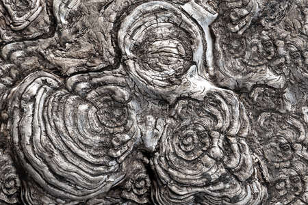 View of the circular texture of the sawn woodの写真素材
