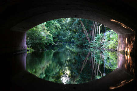 View from under the bridge over the river Pegnitz and the forest in the city of Nuremberg.の写真素材