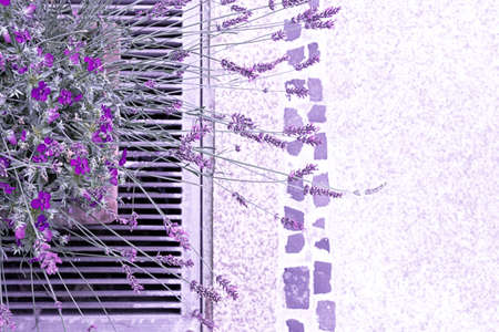 Top view of a ceramic pot with violets and lavender on the sidewalkの写真素材