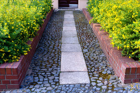 View of the paved path to the house with flower beds of cinquefoilの写真素材