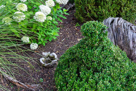 View of the alpine hill with Japanese eosklet and white hydrangeaの写真素材
