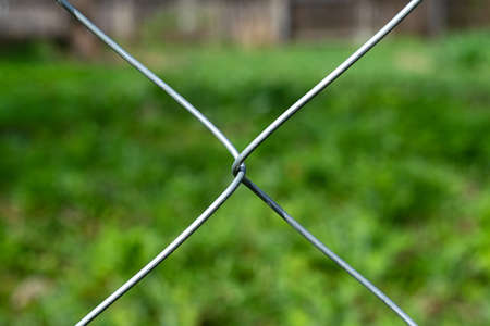 View of the field of weeds through the nettingの写真素材