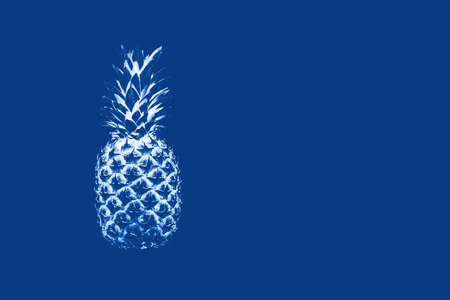 Pineapple in monochrome on a blue background. Concept abstraction, surrealism, color of the year 2020, foodの写真素材