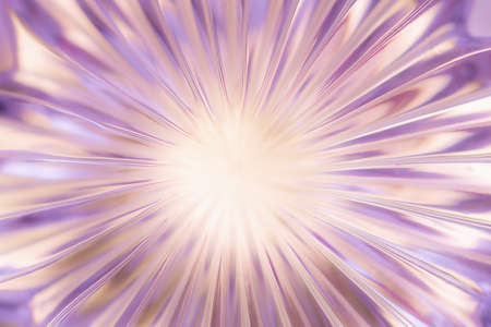Abstract blurred background in the form of a flower and sun rays of pink color. Concept background, textureの写真素材