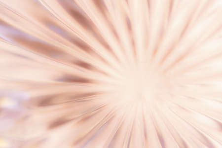 Abstract blurred background in the form of a flower and sun rays of pink color. Concept background, textureの写真素材