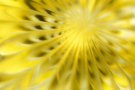 Abstract blurred background in the form of a flower and sun rays of gold color. Concept background, textureの写真素材