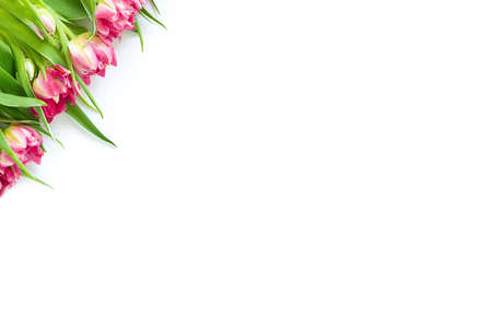 Top view on pink tulip flowers that lie diagonally on a white background. Concept flat layout, holiday, gift, postcard, international women's day, March 8thの写真素材