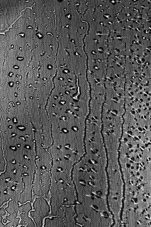 View on a black-white background with the texture of flowing drops of water on glass through a transparent fabric. Concept background, textureの写真素材