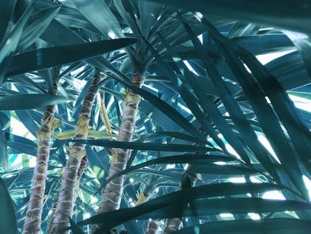 Close-up view of palm tree trunks in the jungle. Concept background, wildlife, nature, landscapeの写真素材