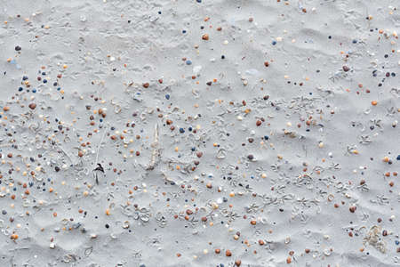 Background with a texture of sand gray shells and with traces of birds on the seashore. Concept background, textureの写真素材