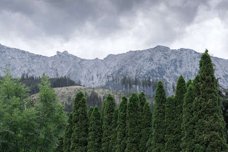 View of the forest and mountains on a gloomy cloudy day. Concept landscape, backgroundの写真素材