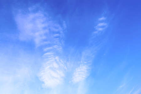 Blue sky with white clouds that form the face of a tiger. Concept landscape, abstractionの写真素材