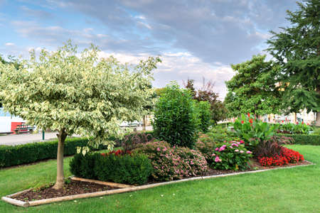 View of a composition of plants and flowers on a well-kept lawn in a public park. Concept landscape, landscape designの写真素材