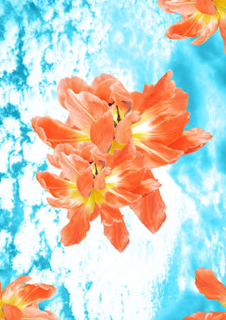 Contemporary collage. Bright orange tulips on a background of blue sky. Concept wallpaper, backgroundの写真素材