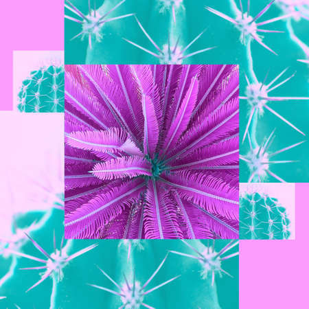 Contemporary collage. Abstraction. Pink palm tree on a background of turquoise cacti. Summer concept.の写真素材