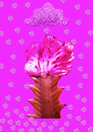 Modern collage. Cactus on which rain from diamonds falls. Concept abstraction, art.の写真素材