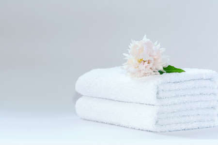 Two white neatly folded terry towels with a delicately pink peony flower on a light backgroundの写真素材