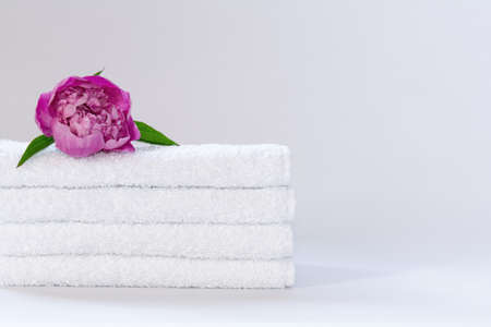 Four white neatly folded terry towels with a pink peony flower on a light backgroundの写真素材