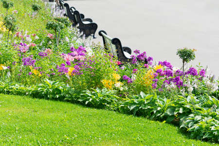 View of the lawn, a flower bed and a park bench. The concept of landscaping, plants, landscape.の写真素材