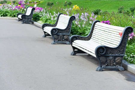 View of the benches in the park, the lawn and the flower bed. The concept of landscaping, plants, landscape.の写真素材