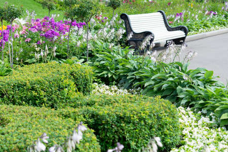 View of a flower bed and shrubs and benches in the park. The concept of landscaping, plants, landscape.の写真素材