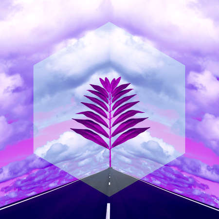 Contemporary collage. A branch of a palm tree on the background of the road receding into the distance and a pink sky with cumulus clouds. Travel concept, abstraction, art, freedomの写真素材
