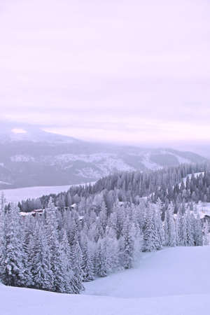 Top view from the ski slope to the snow-covered forest, mountains and the river covered with ice.の写真素材