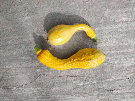 Top view of decorative yellow pumpkins that lie on a concrete surface. Autumn, plants, holiday concepts, flat lay, minimalismの写真素材