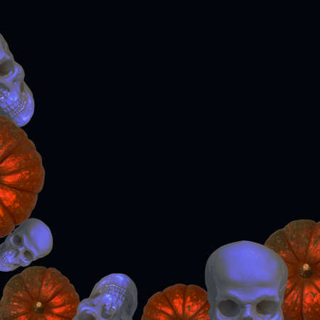Top view of white skulls and orange pumpkins on  blackの写真素材