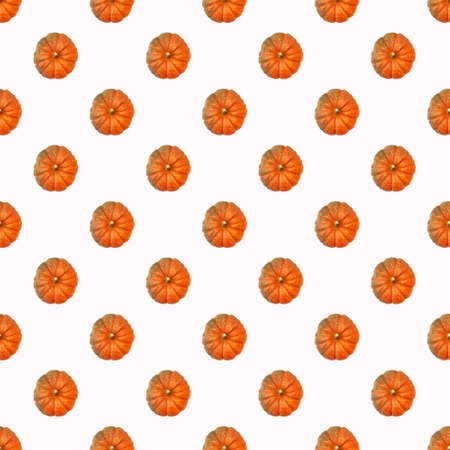 Seamless pattern of  orange pumpkin on  whiteの写真素材