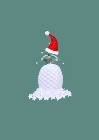 Contemporary collage. 3D illustration. Abstract Christmas background with white pineapple in a red cap on a mint backgroundの写真素材