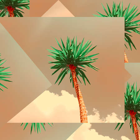 Contemporary collage. Palm tree against the background of the cloudy sky. Summer concept, landscapeの写真素材