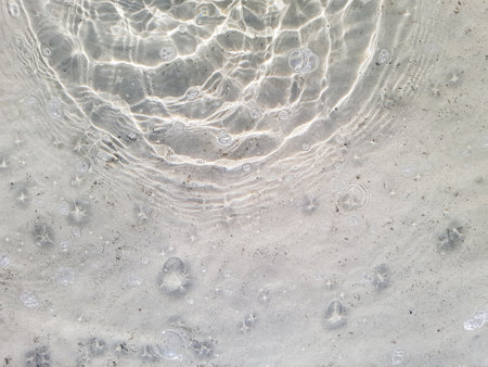 Natural background of water and sand with round streaks on the surfaceの写真素材
