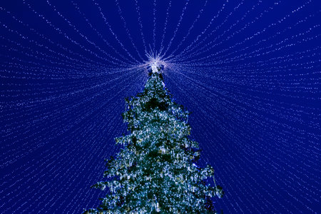 Christmas tree decorated with toys and garlands in the night against the blue skyの写真素材