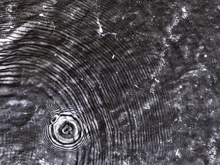 Abstract black-white background of water and sand with round streaks on the surfaceの写真素材