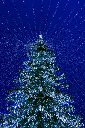 Christmas tree decorated with toys and garlands in the night against the blue skyの写真素材