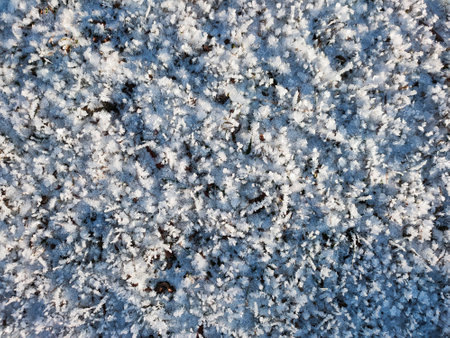 A view of dry grass covered with crystals of frost on a frosty sunny day.の写真素材