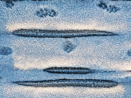 Top view of a snow-covered surface with an abstract pattern and animal footprints.の写真素材
