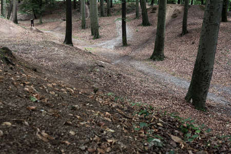 View of paths in the forest with hilly relief. Landscape concept, background.の写真素材