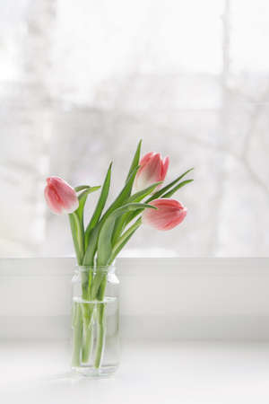 A bouquet of pink tulips in a glass jar is on the windowsill in the house.の写真素材