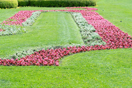 Manicured lawn with red flower beds in the park garden.の写真素材