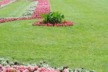 Manicured lawn with red flower beds in the park garden.の写真素材