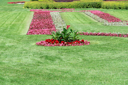 Manicured lawn with red flower beds in the park gardenの写真素材