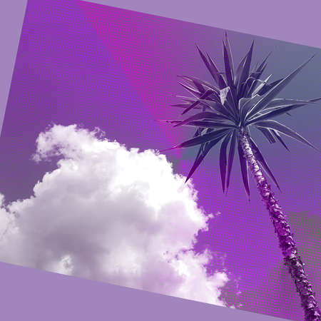Palm trees against the sky with clouds in neon colorsの写真素材