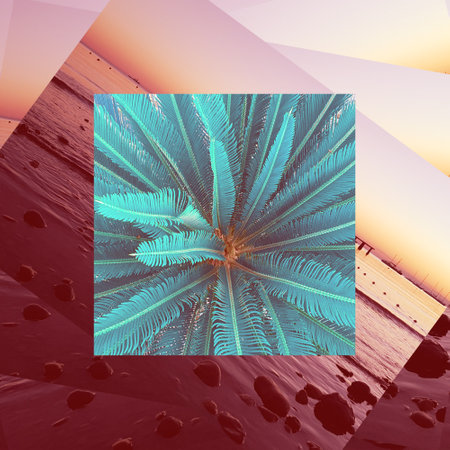 Abstract palm tree against the background of the sunset on the seaの写真素材