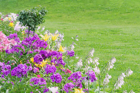 View of the lawn and flower bed with bright multi-colored flowersの写真素材