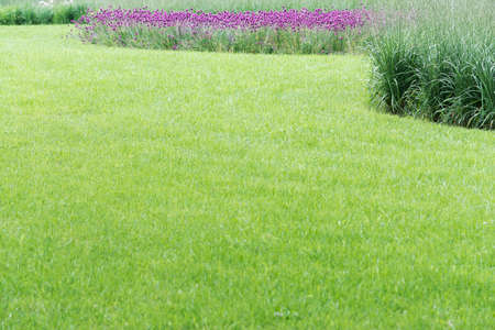 A view of a perfect lawn framed by a round flowerbed with various flowersの写真素材