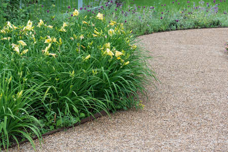 A view of the undulating gravel path and a flower bed with a daylily.の写真素材