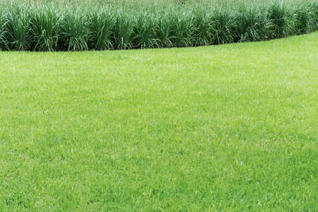 A view of a perfect lawn framed by a round flowerbed with various flowers.の写真素材