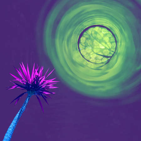 Contemporary collage. Palm tree of neon color on an abstract background with a shining planet.の写真素材